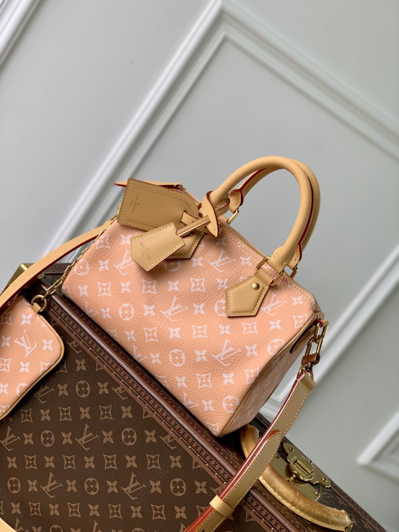 LV Travel Bags
